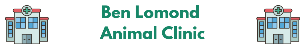 Ben Lomond Animal Clinic